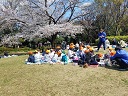 駒沢大学