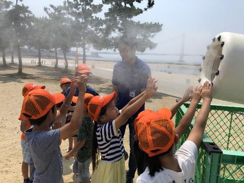 神戸西