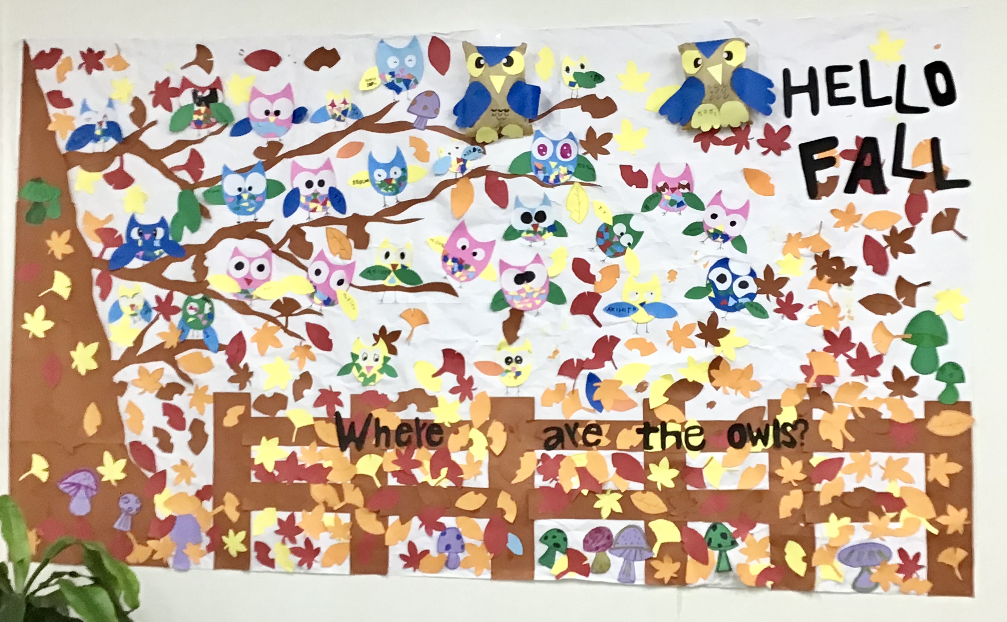 芝浦 Kids Duo キッズデュオ アフタースクール 英語学童保育スクール 東京都港区